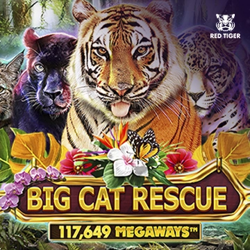 Big Cat Rescue Megaways - JFGAMING