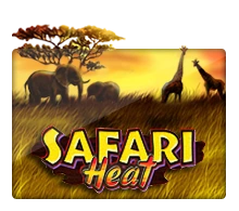 Joker123 : Safari Heat - JFGAMING