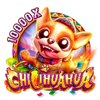 Facai : CHILIHUAHUA - JFGAMING