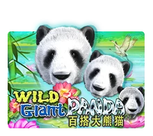 Joker123 : Wild Giant Panda - JFGAMING