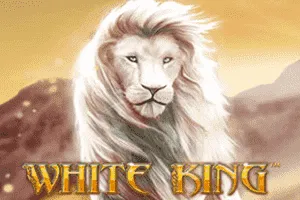 White King - JFGAMING