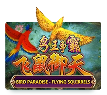 Bird Paradise - JFGAMING