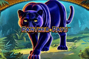 Panther Pays - JFGAMING