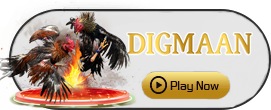 Digman - JFGAMING